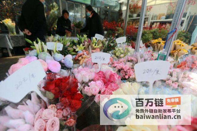 鲜花报春迎新年市民采买花卉迎祥瑞鲜花迎新春的